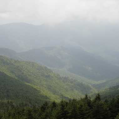 Cloudy Forest View