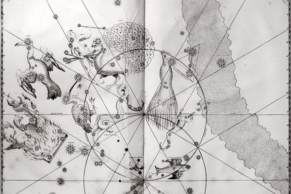 Chart 49. A print of the copperplate engraving of Johann Bayer's 1661 edition of <em>Uranometria</em>, which depicts 12 new constellations.