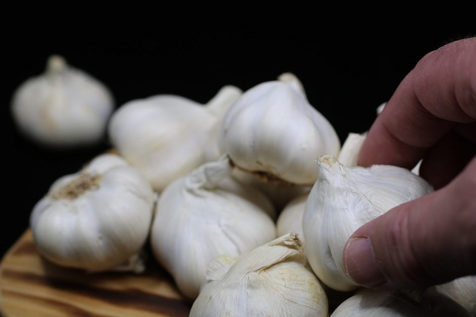 Garlic is the perfect food to smuggle.