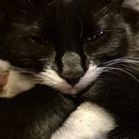 Profile image for brewsterchris84