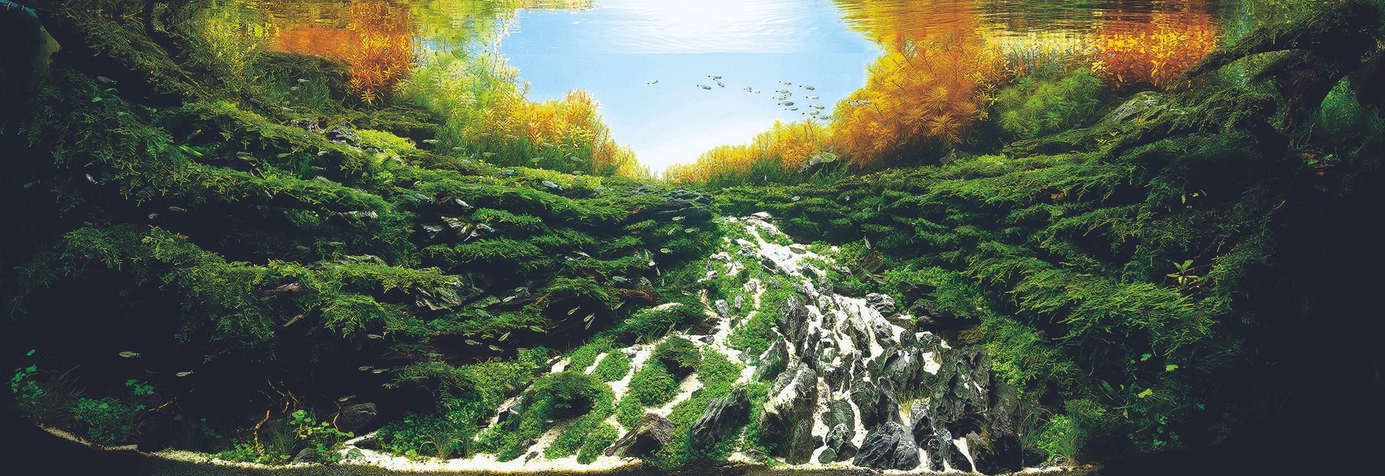 Katsuki Tanaka's sunny river, "Trace the Headwaters," took eighth place.