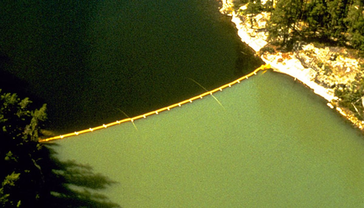 An experiment in Lake 226 to test eutrophication. Carbon and nitrogen were poured into a lake with a curtain in the middle. Phosphorus was added to one side which caused it to cloud with algae.