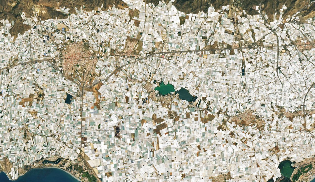 Seen from space, the world's largest concentration of commercial greenhouses is a dazzling white patchwork.