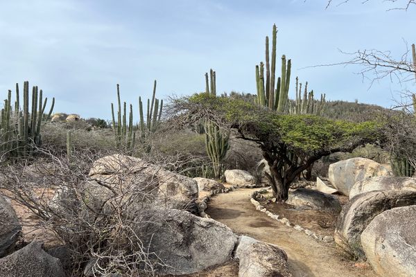 Contemplative paths.