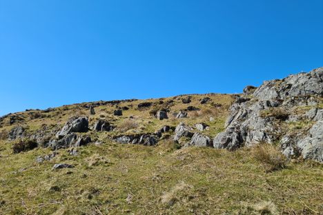 The standing stones camouflaged into their surroundings 