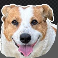Profile image for Carinissima