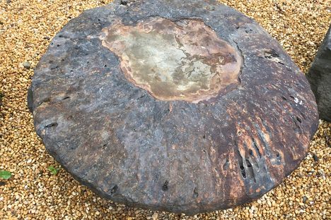 The rounded base of an Eospermatopteris stump.