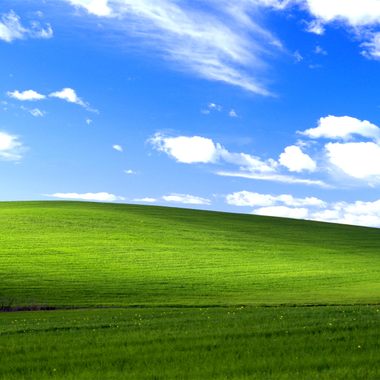 "Bliss."