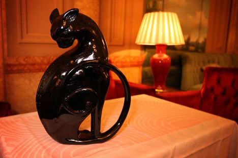 Kaspar the Savoy Cat