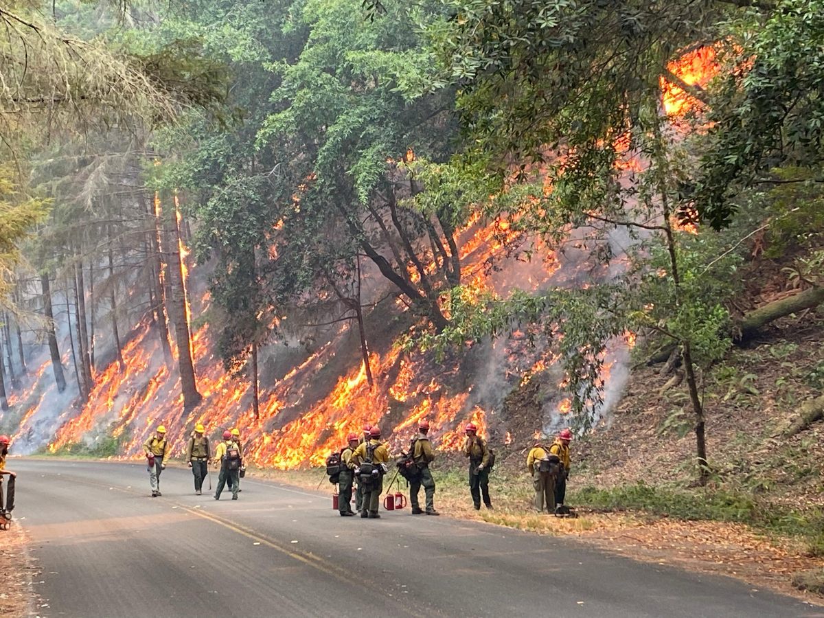Backfires, like this response to the Woodward Fire in another part of the affected area, can help crews keep control.