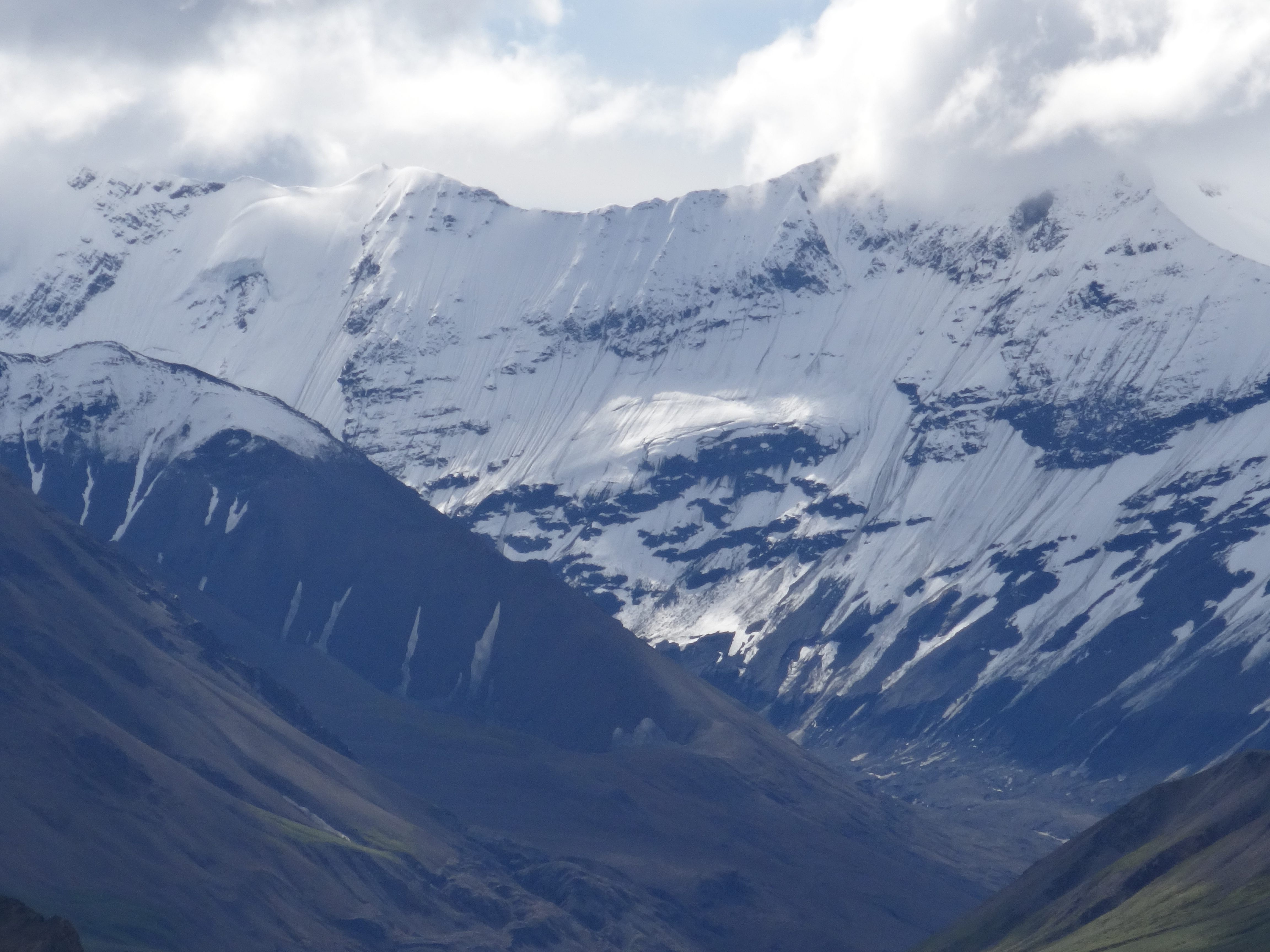 Denali National Park, Alaska, August 2014.