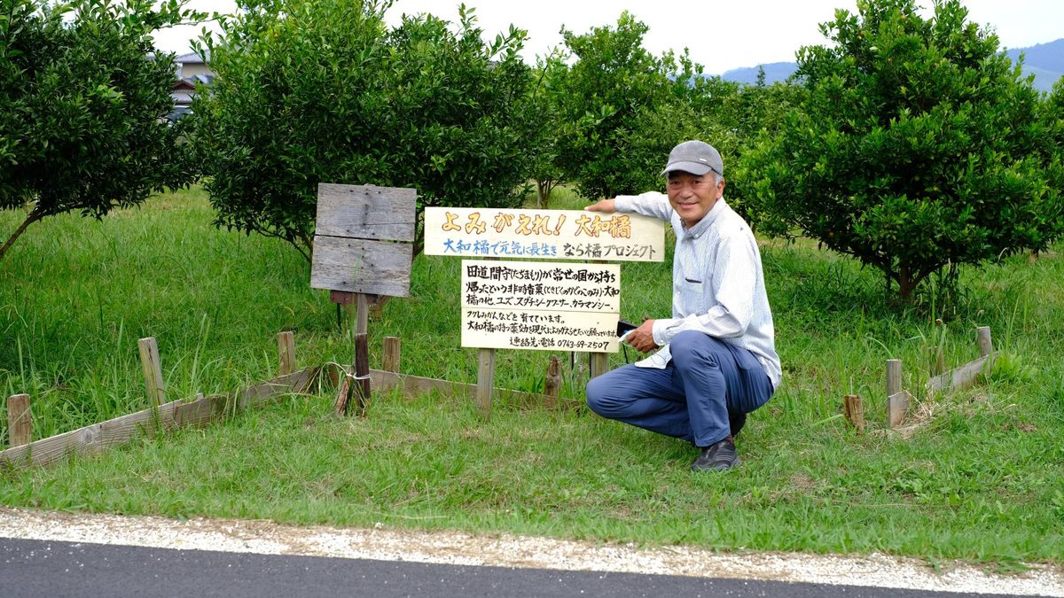 Kenji Jō, the founder of the Nara Tachibana Project, has been pushing to ignite interest in the fruit since 2011.