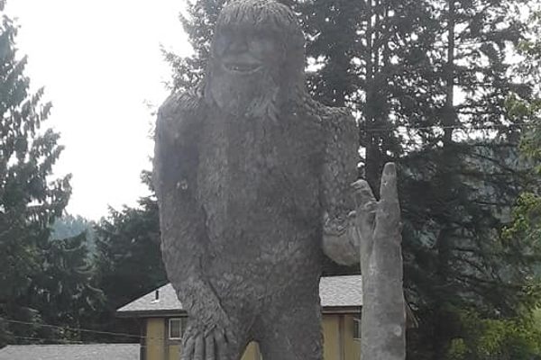 North Fork Survivors