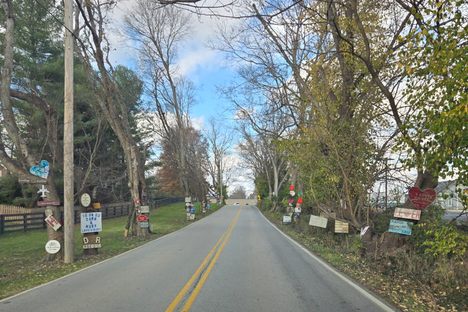 Signs in Trees