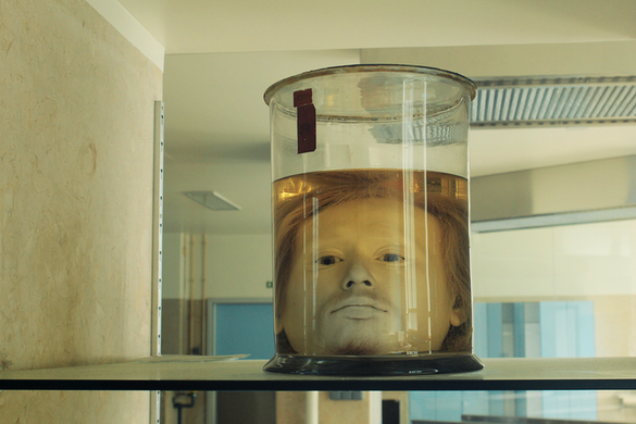 Head of Diogo Alves in jar