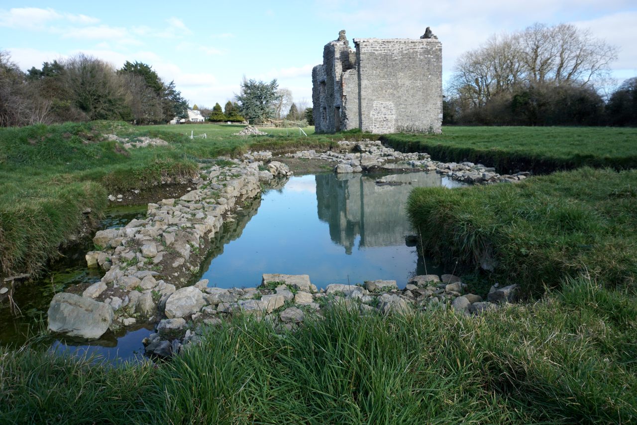 A five-acre pasture on the McCullen family farm, dominated by an old stone tower, has turned out to be the site of both a medieval monasterial complex and Neolithic ruins.