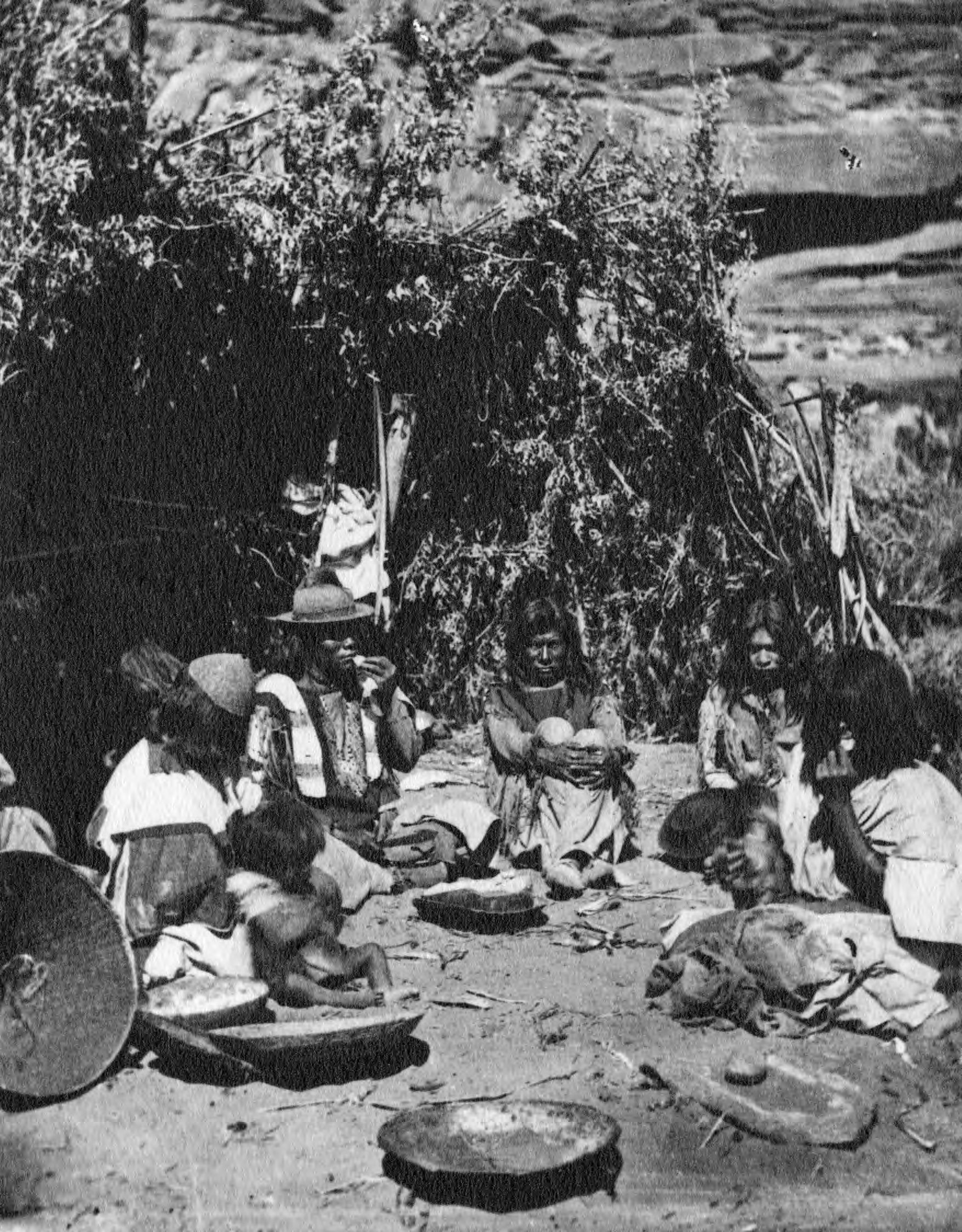 The Paiute, pictured, dug trenches to harvest caterpillars. 