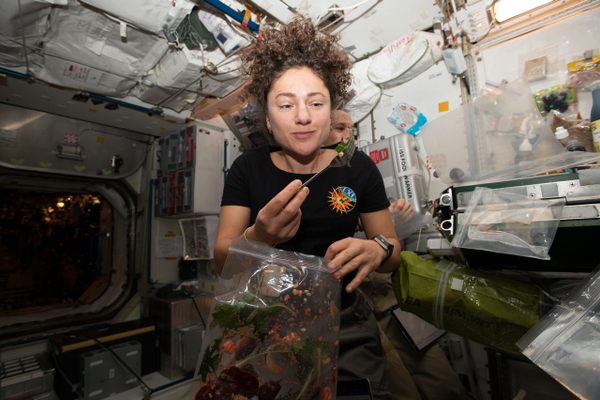 NASA astronaut Jessica Meir dines on fresh mustard greens that she harvested aboard the ISS in 2019.
