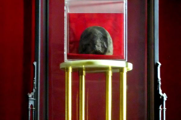 John the Baptist relic