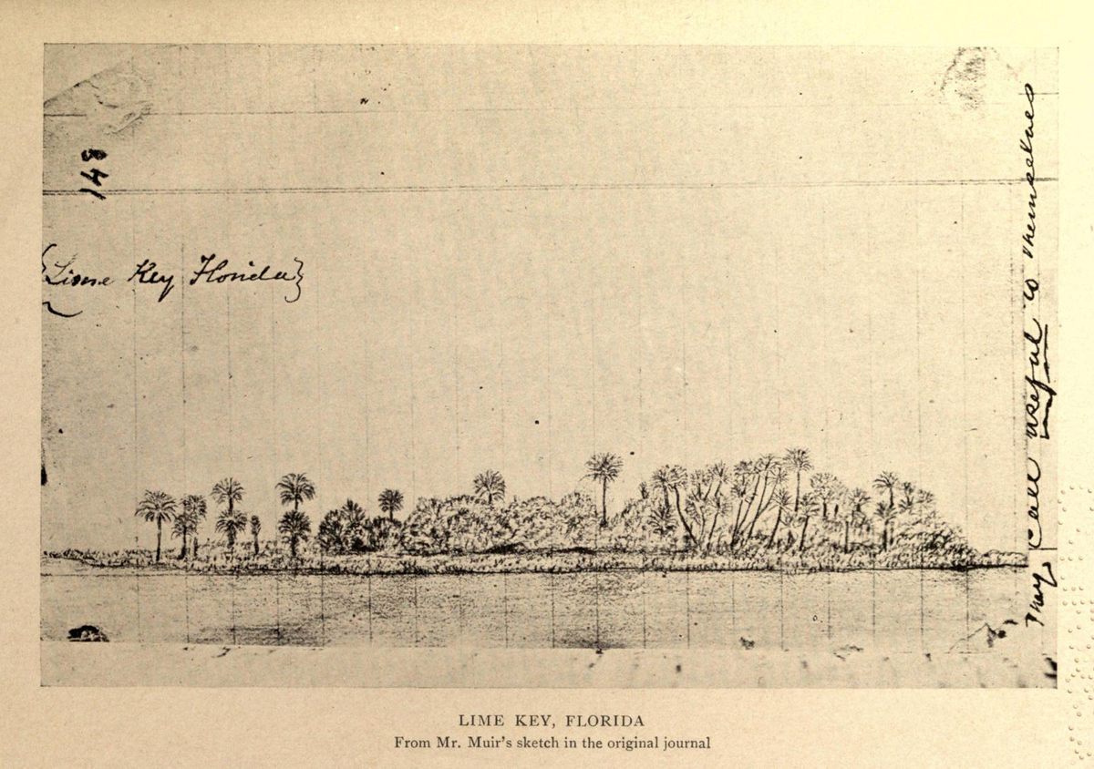 Muir's depiction of Lime Key, Florida.