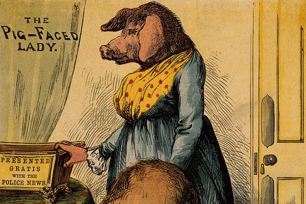 This colored wood engraving shows the pig-faced Miss Atkinson.