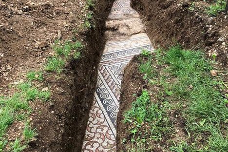 Unearthing a Roman Villa Under a Working Vineyard 