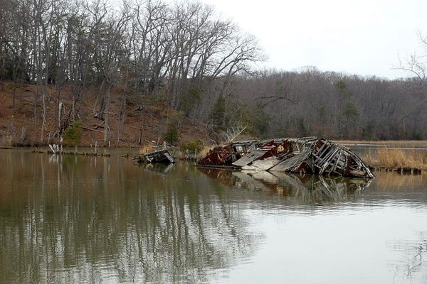 Shipwreck at Mallows Bay, Maryland