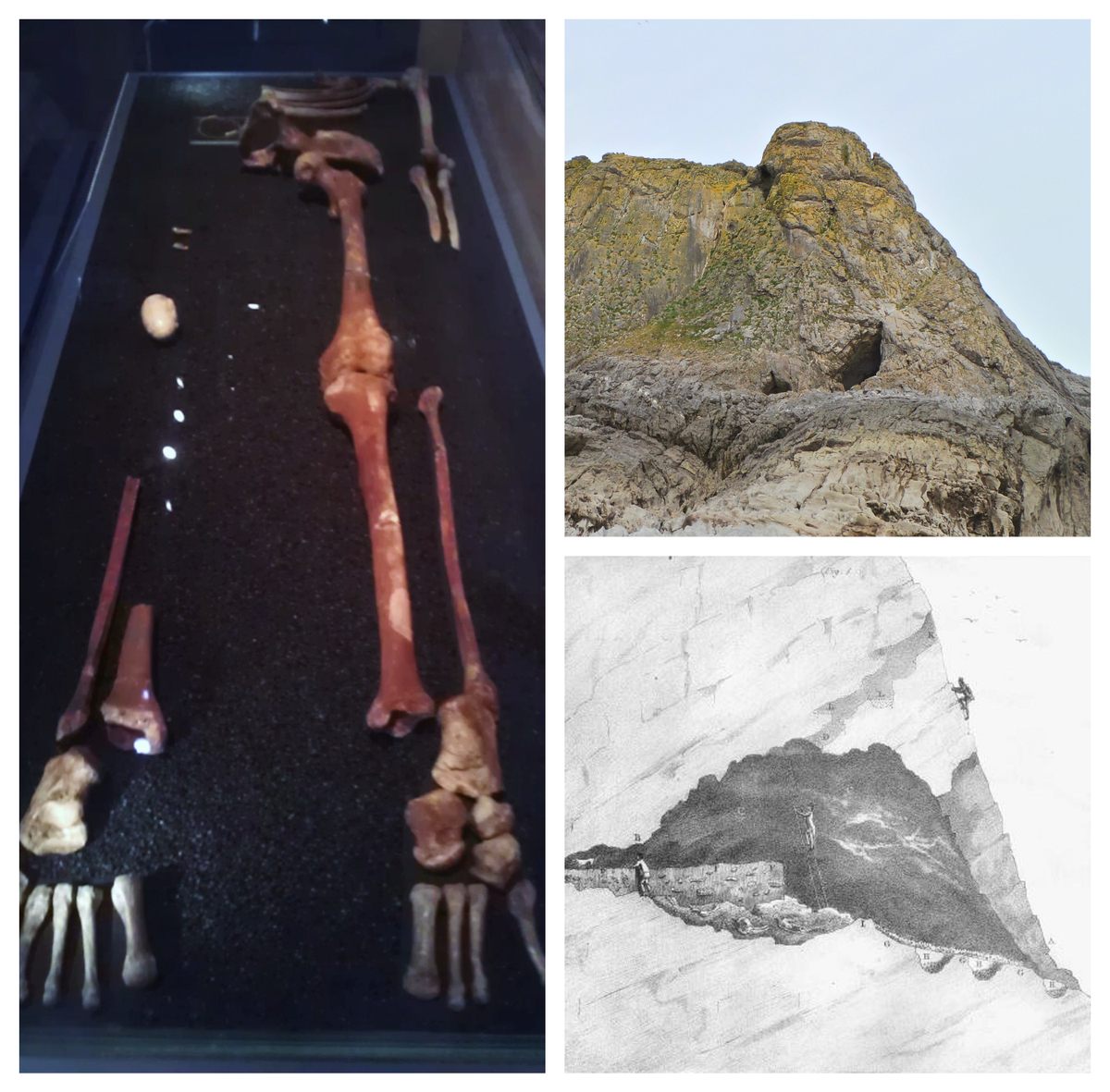 Clockwise from left: the skeleton known as the Red Lady of Paviland on display in 2014; the rocky area where the cave is located; a cross-section of the cave from Buckland's 1824 report on the discovery.