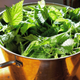 A pot of boiled nettles means savory greens and earthy tea.