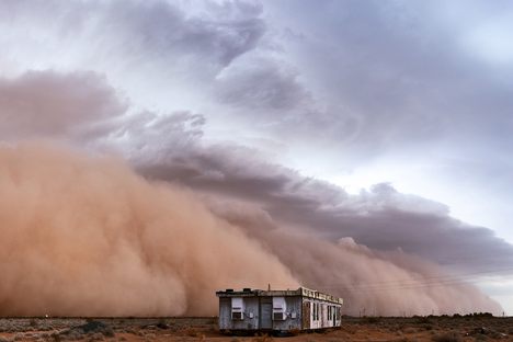 By Air, Land, or Sea, Tiny Microbes Transform Our World
