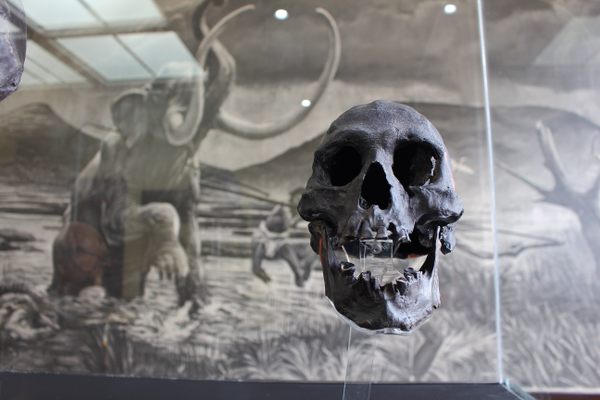 Replica of the 12,000-year-old Chimalhuacán Man and the mammoth mural. 