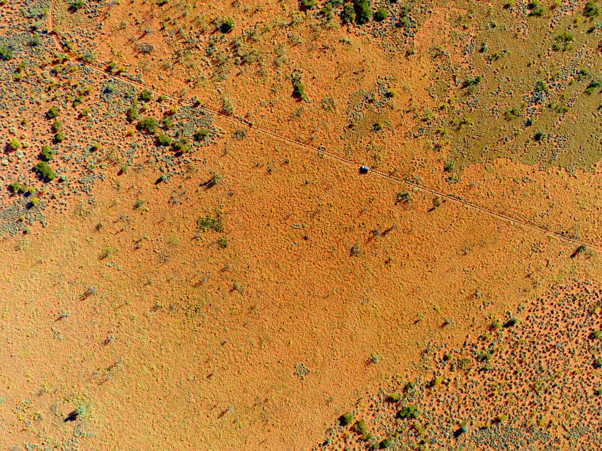 Landscapes where cultural burning has taken place feature patchy terrain, a perfect habitat for small mammals.