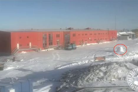 In Antarctica, a Mysterious Igloo Slowly Appears