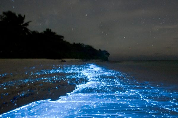 Sea of Stars