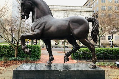 Leonardo's Horse Allentown PA