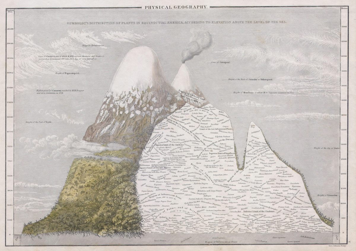 <em>Tableau Physique</em> was a landmark in infographics.