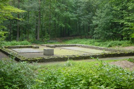 "Kleinkastell Holzheimer Unterwald"
