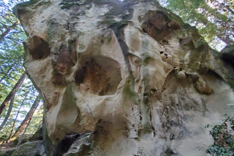 Tafoni Sandstone Monolith
