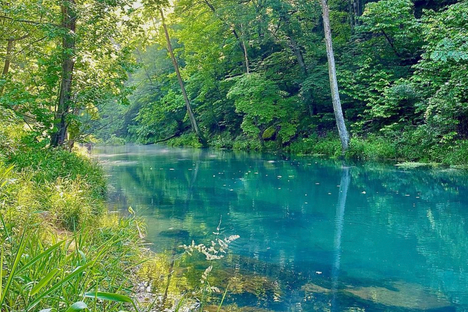 Montauk Springs