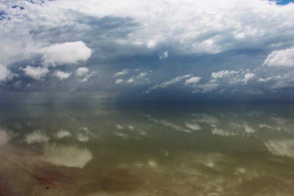 During wet periods, a thin sheen of water coats the salty expanse of the Etosha Pan.