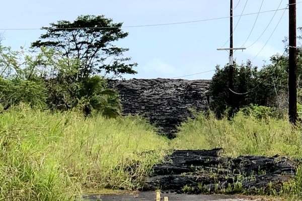 Nature reclaims Pohoiki Rd. 