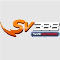 Profile image for sv388software