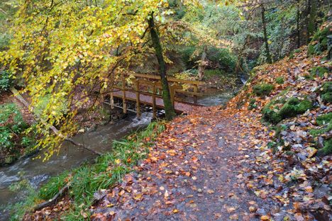 The Fairy Glen