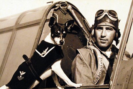 Dog mascot of VS-1, D7, Naval Air Station, Banana River, Florida, January 1, 1943. Naval Aviator is S. MacAdams. Note, the wings on the dog’s “uniform.