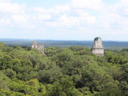 View from the top