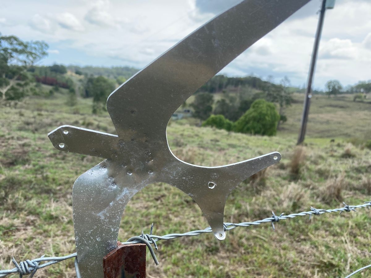 Owners have found a variety of uses for their birds. Target practice is just one of them.