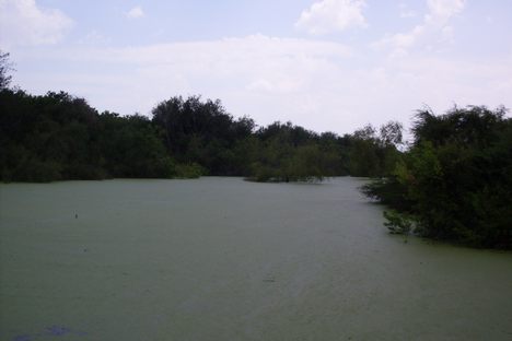  Resaca De La Palma State Park