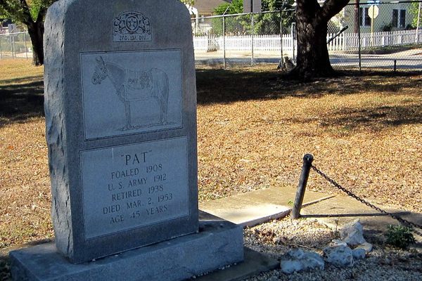 Grave of Pat the Horse at Fort Sam Houston.