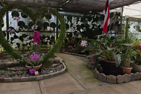 Lankester Botanical Garden