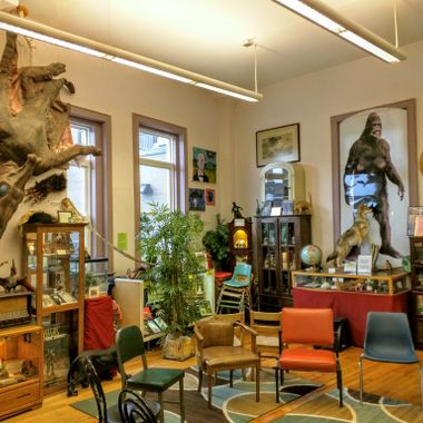 International Cryptozoology Museum